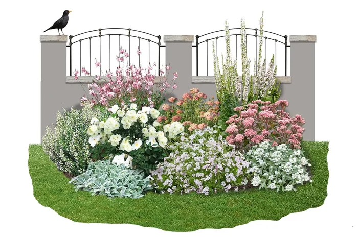 Achillea-Paket ‚Lovely‘ (Ein Gedicht in zartem Weiß-Rosa)