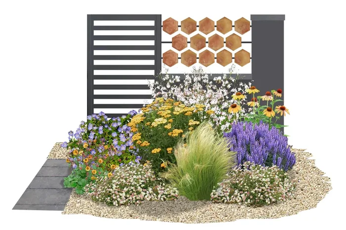 Achillea-Paket ‚Sunny‘ (Sonnige Wärme im Beet)