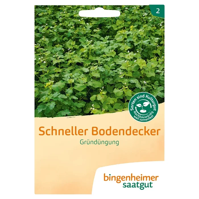 Blumenmischung ‚Schneller Bodendecker‘ Bio-Blumen-Samen