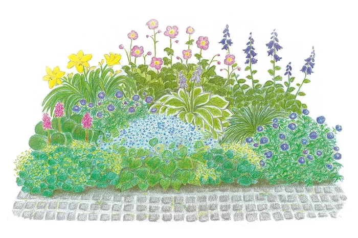 Licht und Schatten (Schönes für dunkle Gartenecken)