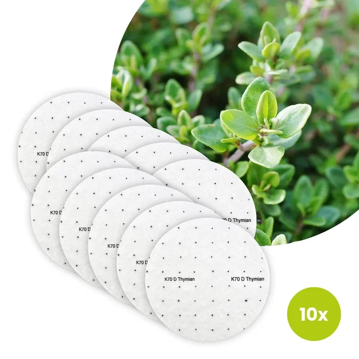 Thymian Bio-Kräuter – 10 Saatscheiben