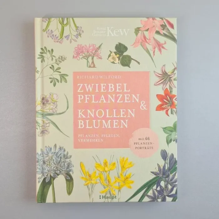 Zwiebelpflanzen und Knollenblumen (Richard Wilford)